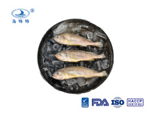 Frozen Small Yellow Croaker Small Yellow Croaker Skewers