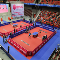 ITTF-zugelassener PVC-Boden für den Tischtennissport