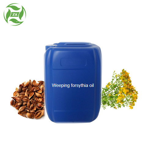 Private Label Antiviral Oil Weeping Forsythia Oil