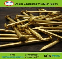 China supplier Black concrete nails/concrete nails black finished(factory)