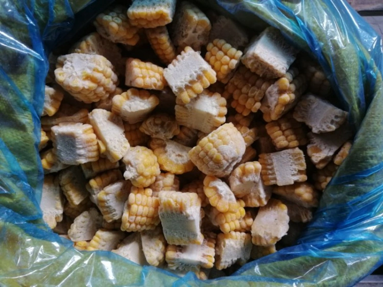 Nop EU Organic Frozen Sweet Corn on COB Whole/Cut Super Sweet From China