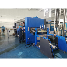 Pet Pp Fruit and Food Packing Box Thermoforming Machine