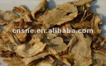 Chinese Angelica(Dong Quai) Extract