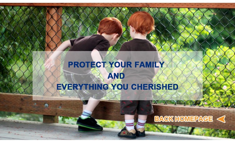 Cheap High Quality W8FT H5FT Welded Wire Mesh partition Fence Panel