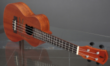 Rabbit pattern pattern ukulele