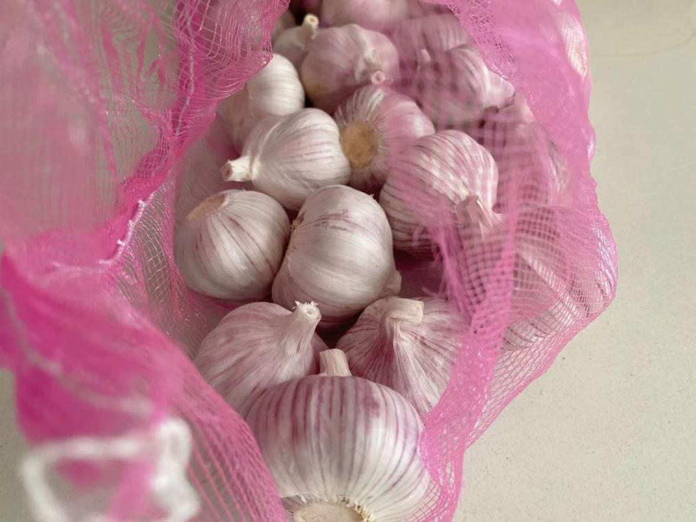 Chinese Fresh White Garlic and Dehydrated Garlic Powde