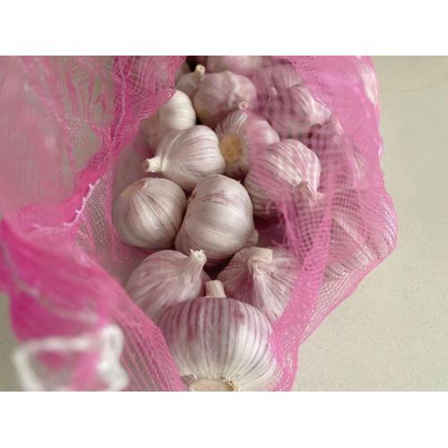 Chinese Fresh White Garlic and Dehydrated Garlic Powde