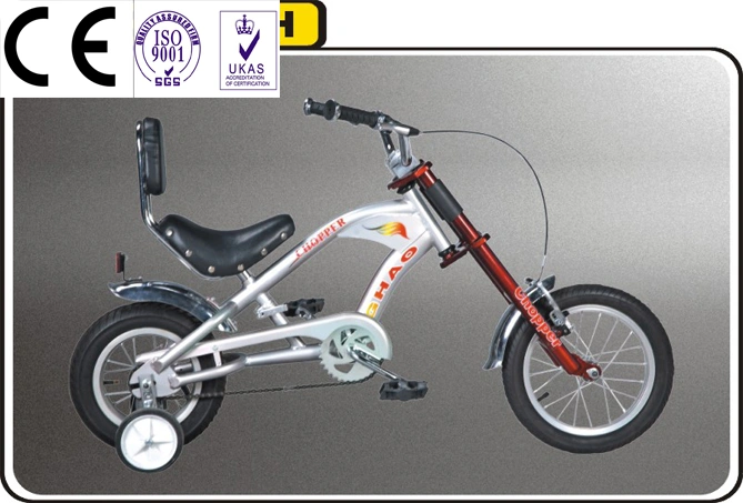 2019 New Style Lowrider Bike with Good Price