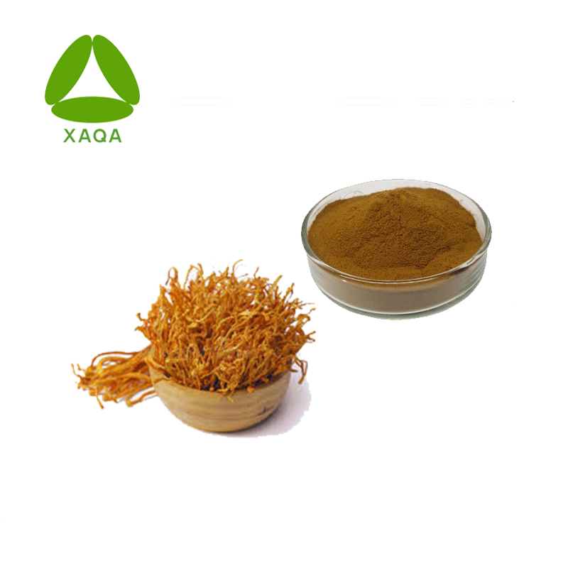 Cordyceps Militaris Extract Cordycepin 1% 98% em pó