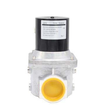 Gas Equipment Valve: TE4050 Solenoid Control Valve for Gas Burner and Burner Adjuster