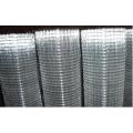 Pvc Coated Stainless Steel Welded Wire Mesh