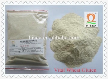 Wheat Gluten Powder