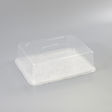 Customized Clear Plastic Medical PET Thermoforming Tray