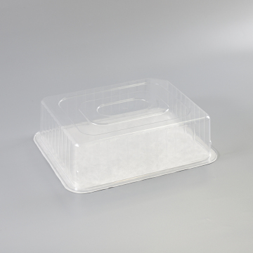 Customized Clear Plastic Medical PET Thermoforming Tray