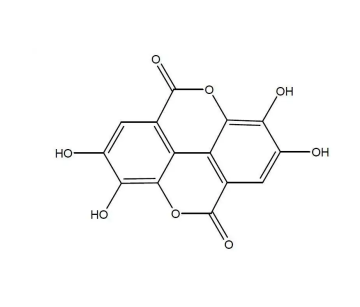 dimeric derivative of gallic acid Ellagic acid