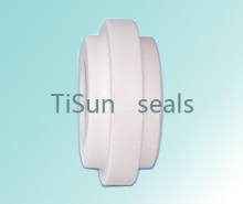 St25 Stationary Ring Of Mechanical Seals?