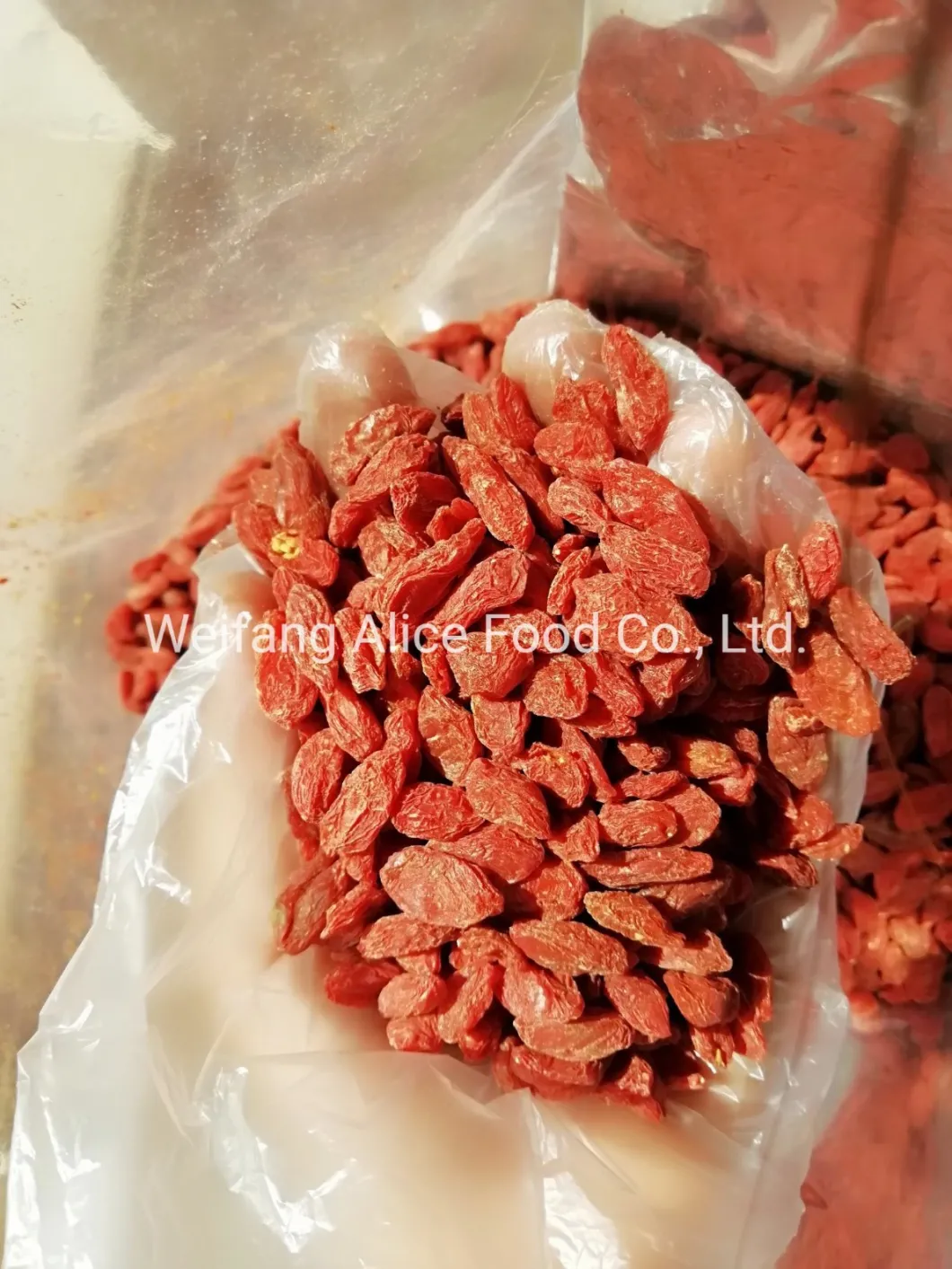 China Ningxia Organic Goji Berry Bulk Sell Gojiberry and Wolfberry