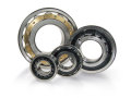 Silinder Roller Bearing