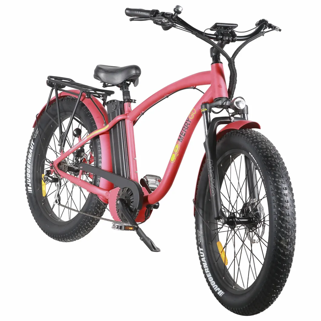 2019 New Design 1000 Watts Electric Bicycle