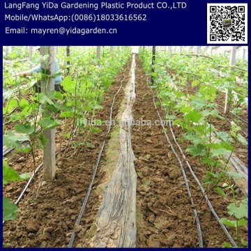 Grape drip irrigation pipes