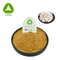 Poria Cocos Extracto Polvo Planta Natural RX Dormir