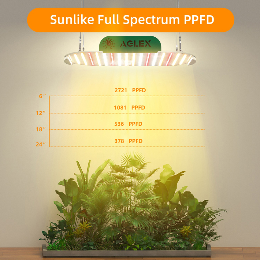 Full-spectrum 1000 Watt LED-groeilicht voor planten