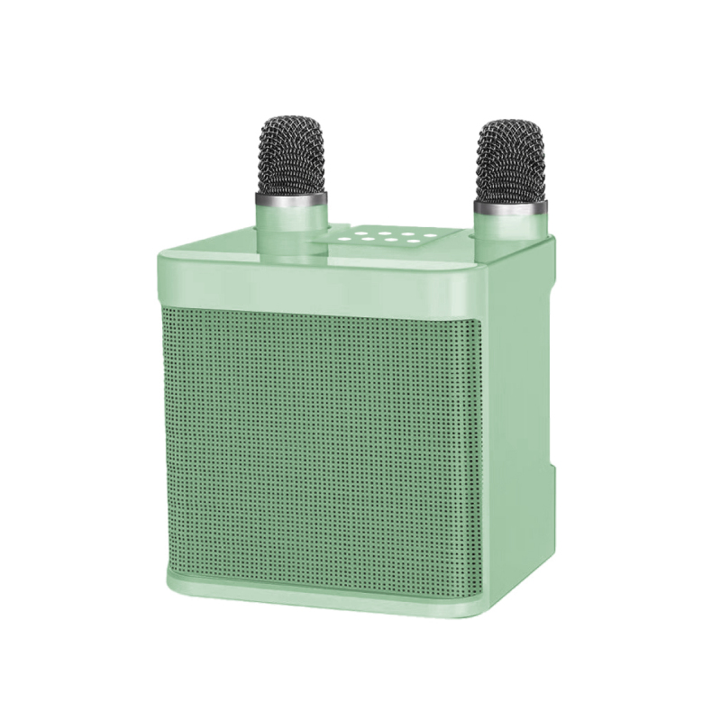 HiFi Wireless Bluetooth Mini KTV Karaoke Speaker with dual microphone