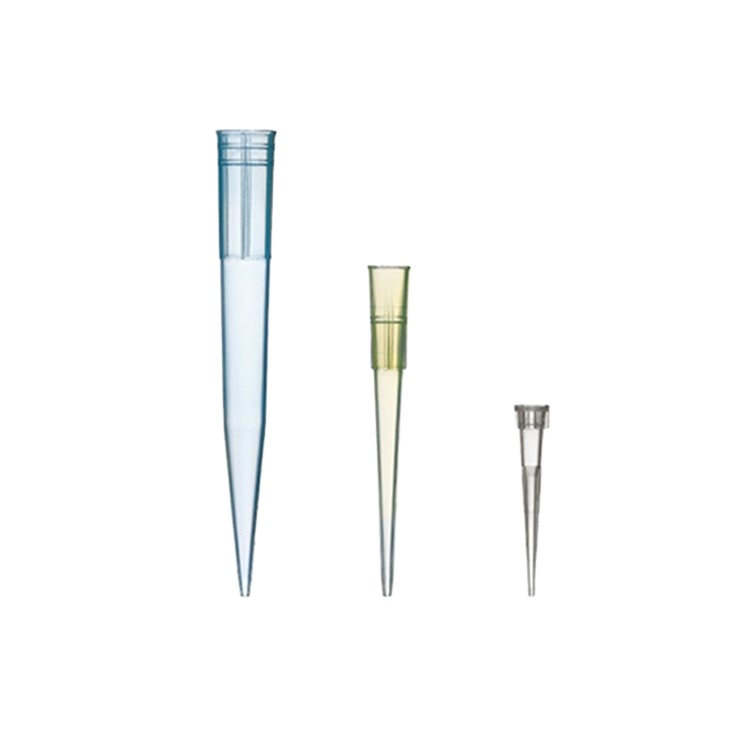 Lab Plastic Pathology Biopsy Specimen Square Embedding Cassette