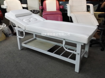 Professional Spa Facial  Massage Therapy Bed