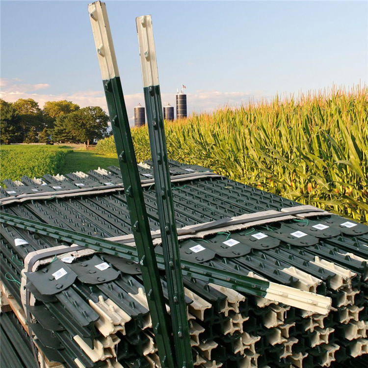 Bitumen painted green T-post for farm fencing