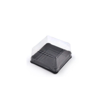 Diposable Cheap Small Square Plastic Cake Box