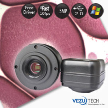 Driverless 5Mp Microscope Camera with free microscopy imaging software