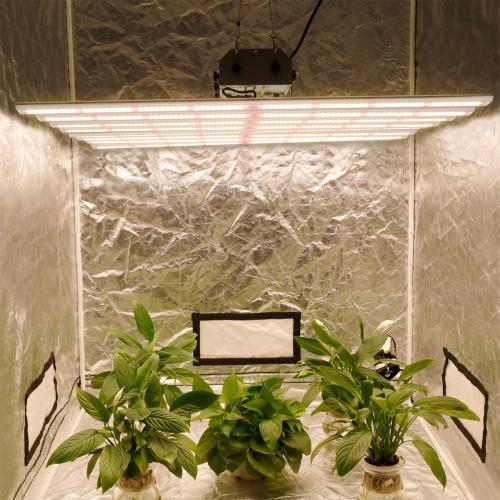 Spyder Led Grow Light 640W para plantas medicinales