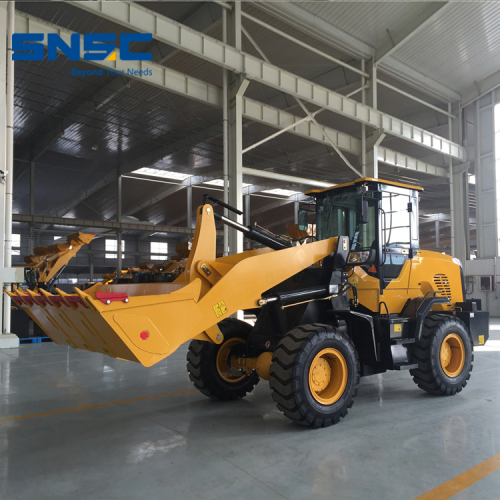 SNSC Popular Agricultrual Mini Loader