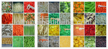 all frozen foods with HACCP BRC certificate