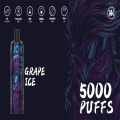 Energia 5000 Vape descartável de bobina de malha Puff