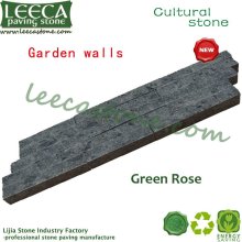 Green rose garden wall stone