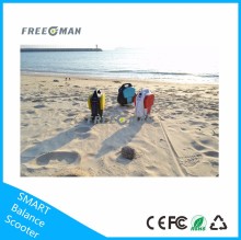 Top 1 electric skateboard cheap in outdoor recreation,hours mile Freeman self balance scooter