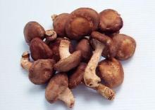 Pure Chinese Herbal Extract / Shiitake Mushroom Extract wit