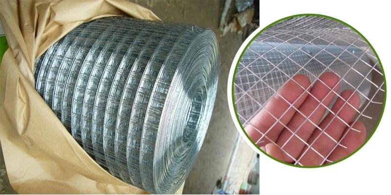 Galvanized PVC Coated Wire Mesh Rolls Supplier