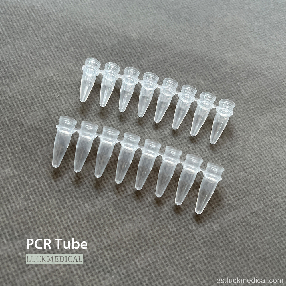 PCR de tira de 8 tubos de plástico desechable