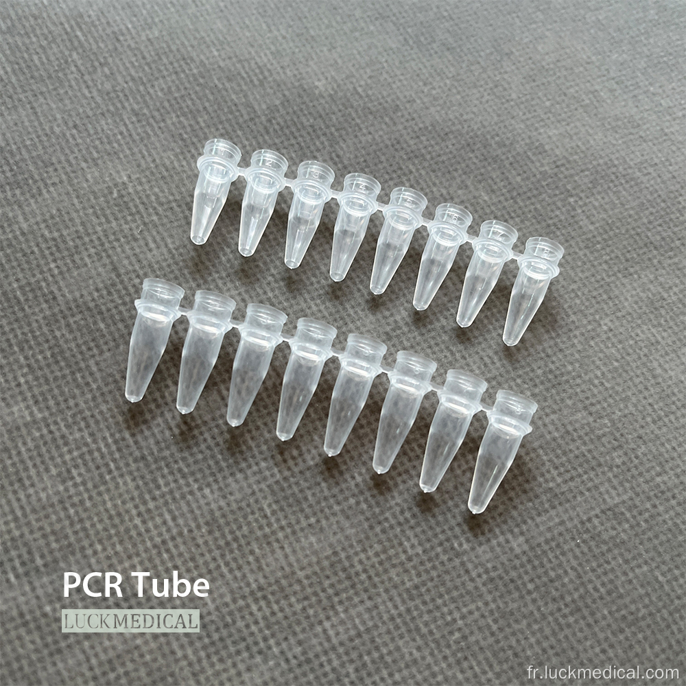 PCR 8 bandes de tube 0,2 ml