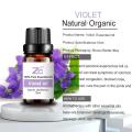 Organic Violet Essential Oil for Body,Skin