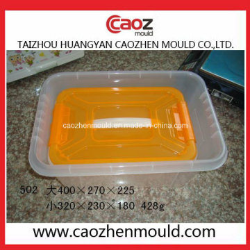 Used Injected Plastic Storage Box/Container Mould