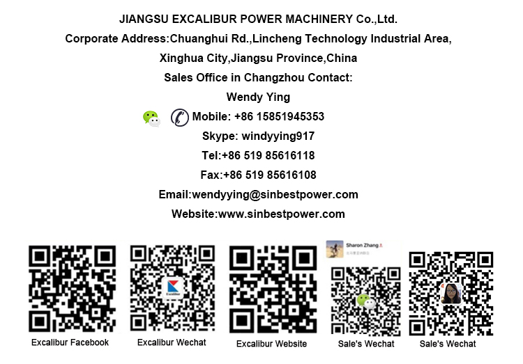 Excalibur 2 Cylinders 25hp 22HP  20hp 20 hp water pump  fire pump air cooled machinery Diesel Engine