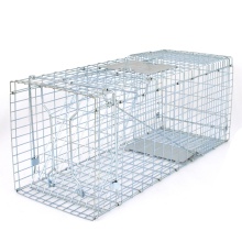 Folded Humane Live Animal Cage Trap for Rats