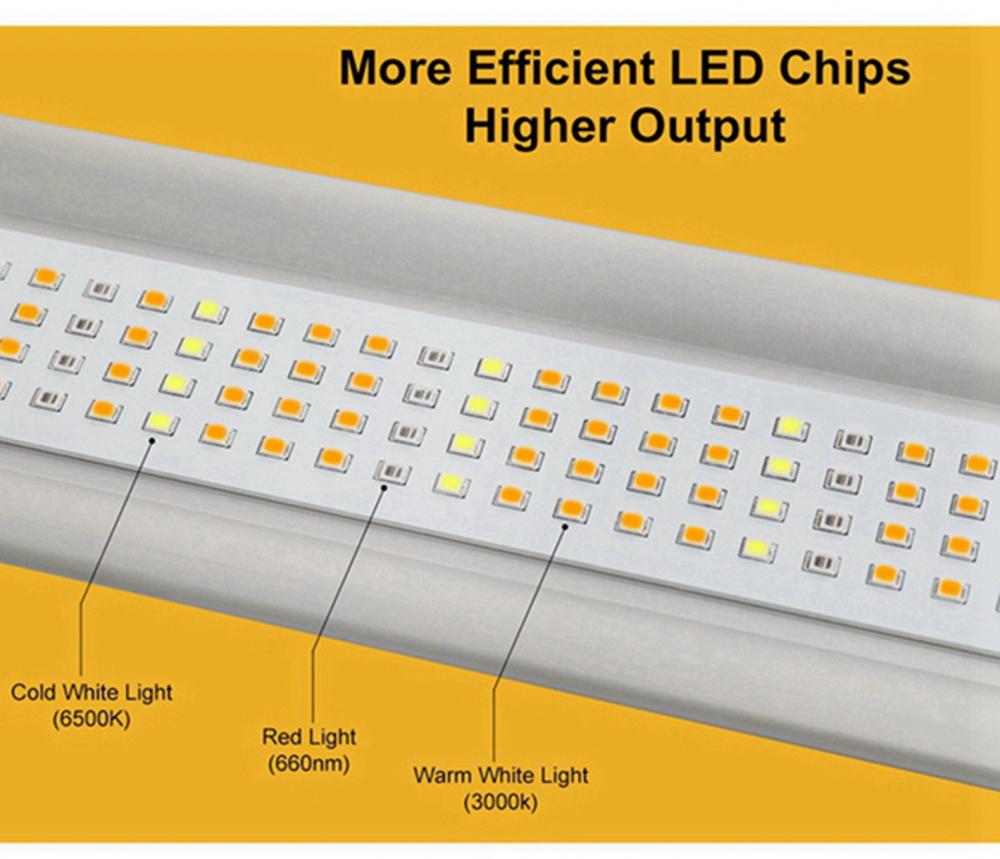 4 Best Led Grow Light