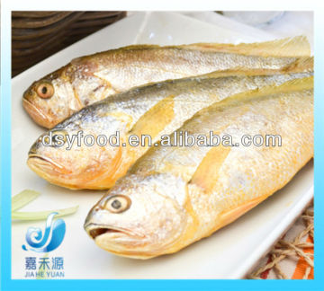 FROZEN SMALL YELLOW CROAKER /BABY YELLOW CROAKER