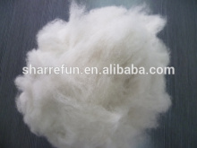 Dehaired and Carded Fox Wool