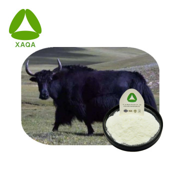 Bovine Bone Extract Bovine Marrow Peptide 99% Powder